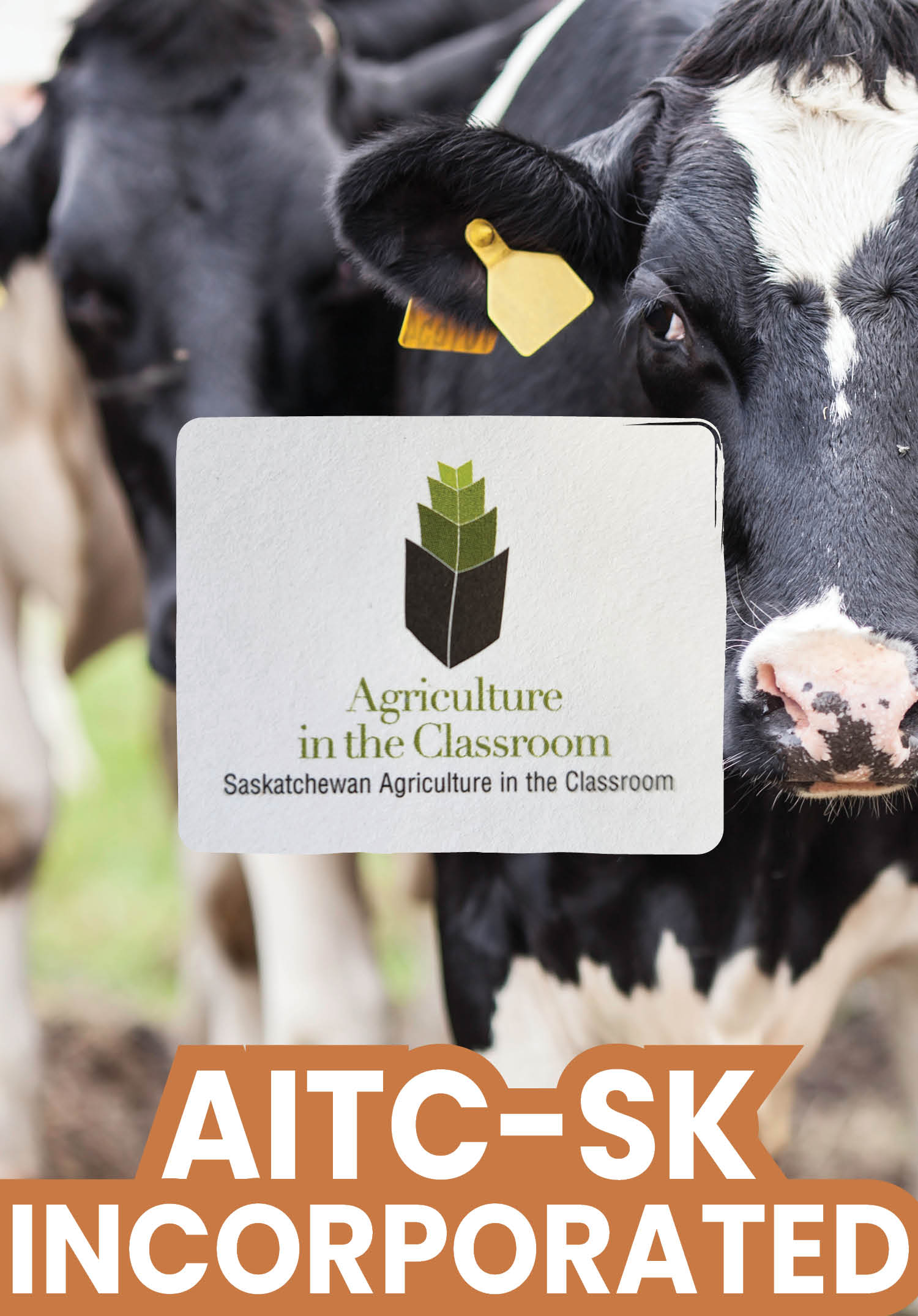 1994-AITC-SK Launched